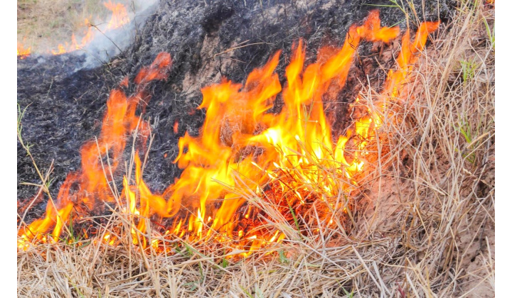 Fokozott tűzveszély idejéről szóló nyilatkozat